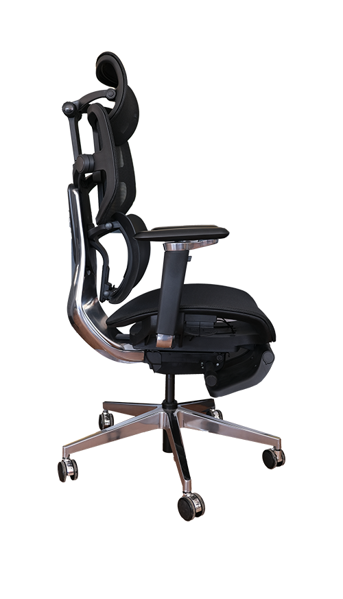 Profesyonel Ergonomik Çalışma Koltuğu