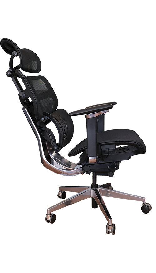 Profesyonel Ergonomik Çalışma Koltuğu
